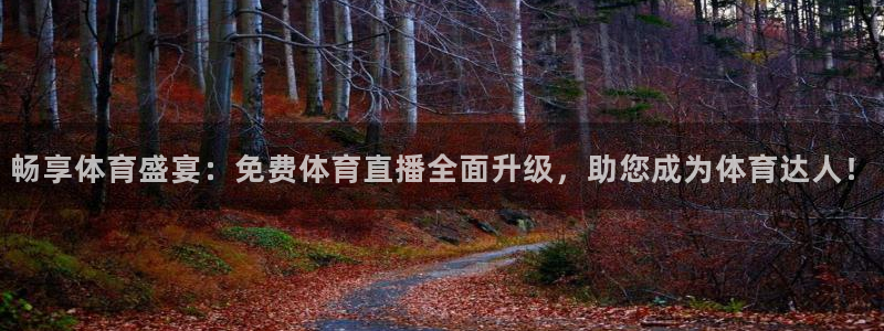松鼠网官方下载：畅享体育盛宴：免费体育直播全面升级，助您成为体育达人！