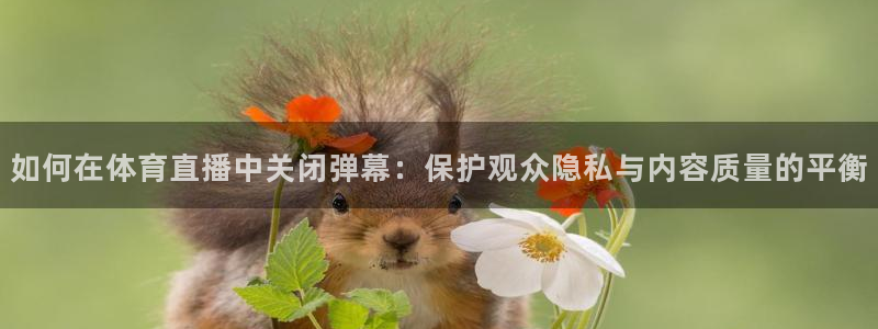 松鼠体育下载：如何在体育直播中关闭弹幕：保护观众隐私与内容质量的平衡