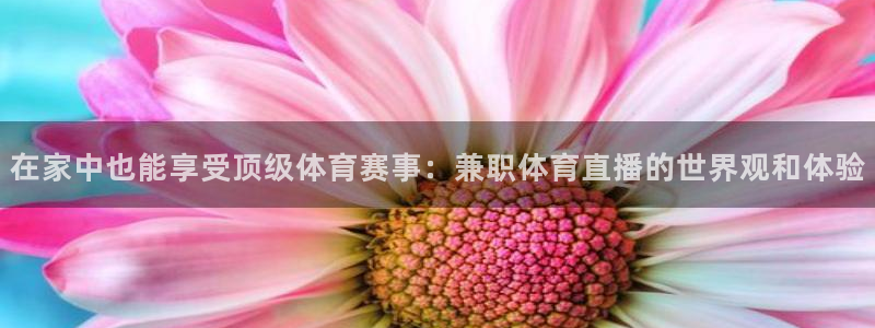 松鼠休闲游戏官网：在家中也能享受顶级体育赛事：兼职体育直播的世界观和体验