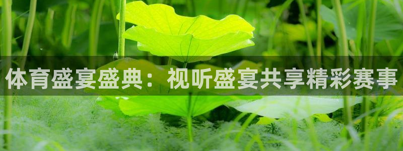 松鼠网官方下载：体育盛宴盛典：视听盛宴共享精彩赛事