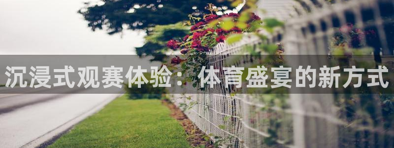 松鼠直播tv：沉浸式观赛体验：体育盛宴的新方式