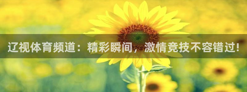 松鼠直播：辽视体育频道：精彩瞬间，激情竞技不容错过!