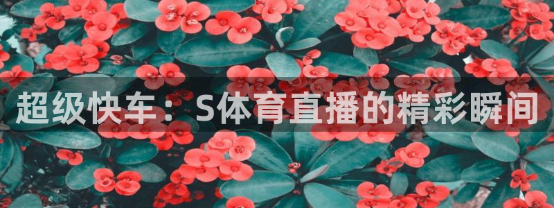 下载松鼠电视直播：超级快车：S体育直播的精彩瞬间