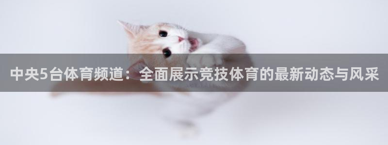 松鼠体育在线直播下载：中央5台体育频道：全面展示竞技体育的最新动态与风采